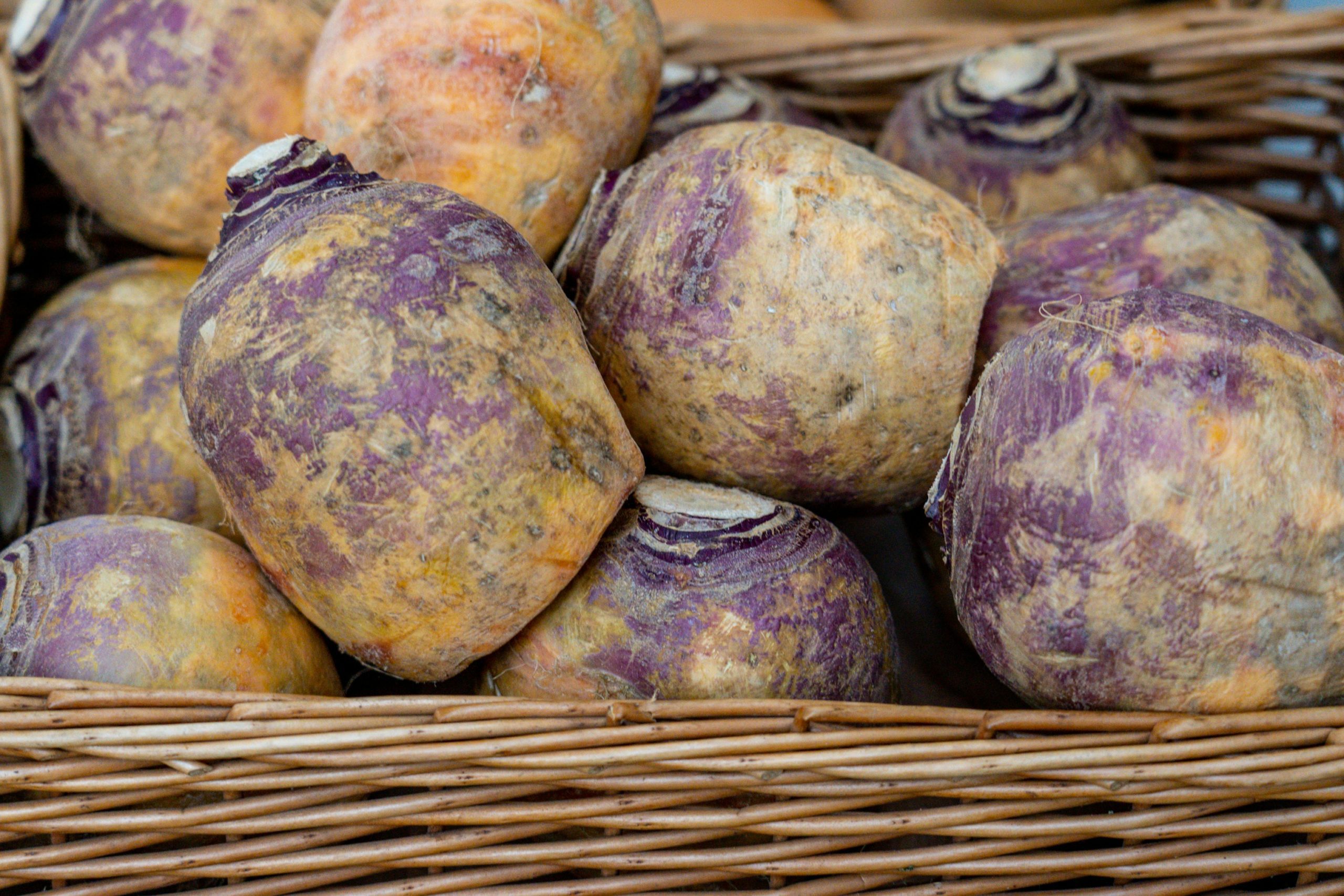 Tout savoir sur le Rutabaga : le trésor caché de l’automne